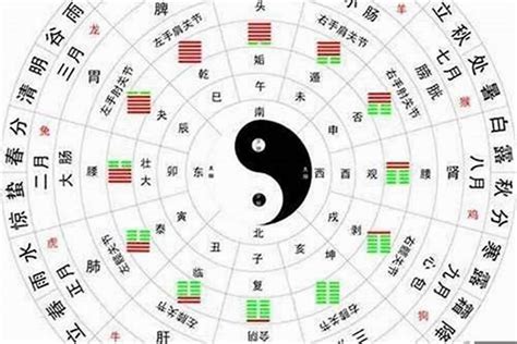 八字木多|八字木多代表什么 代表了一个人的性格和运势——天玄网